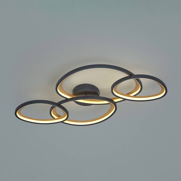Trio Lighting Plafoniera soffitto Sivo, dimmerabile, Nero, Soggiorno / Sala da pranzo, Metallo, Plafoniera