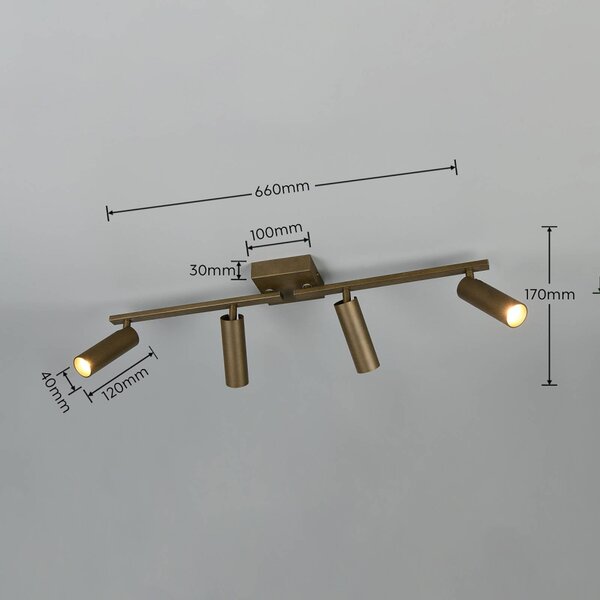 Trio Lighting Faretto da soffitto Dara, lunghezza 66 cm, metallo color platino, a 4 luci. Dara, Alluminio / Grigio / Zincato, Soggiorno / Sala da pranzo, Metallo, Moderno, Downlight