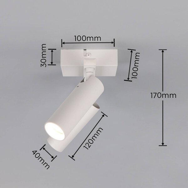 Trio Lighting Faretto da soffitto Dara, lunghezza 28 cm, grigio, metallo, a 2 luci. Dara, Alluminio / Grigio / Zincato, Soggiorno / Sala da pranzo, Metallo, Moderno, Downlight