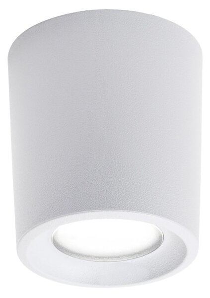 Plafoniera esterno resina top light pisa plp bi gu10 cct led ip55 - Top Light