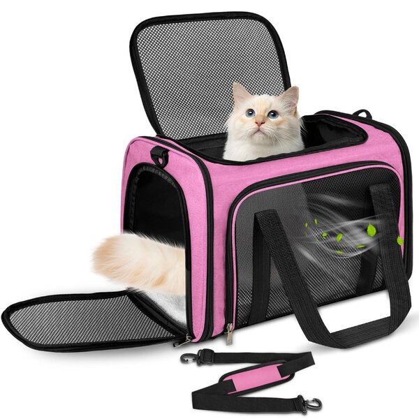 Borsa da trasporto pieghevole per cani e gatti, dotata di un comodo materassino imbottito