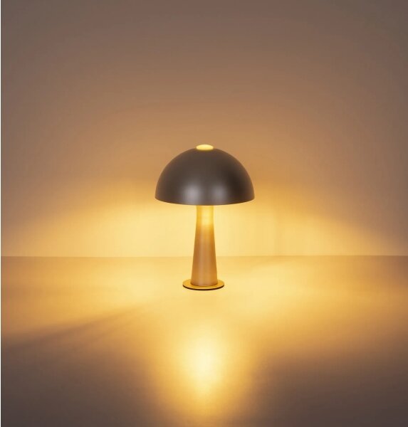 Globo 50670152 - Lampada da tavolo JULIA 1xE14/25W/230V cromo opaco