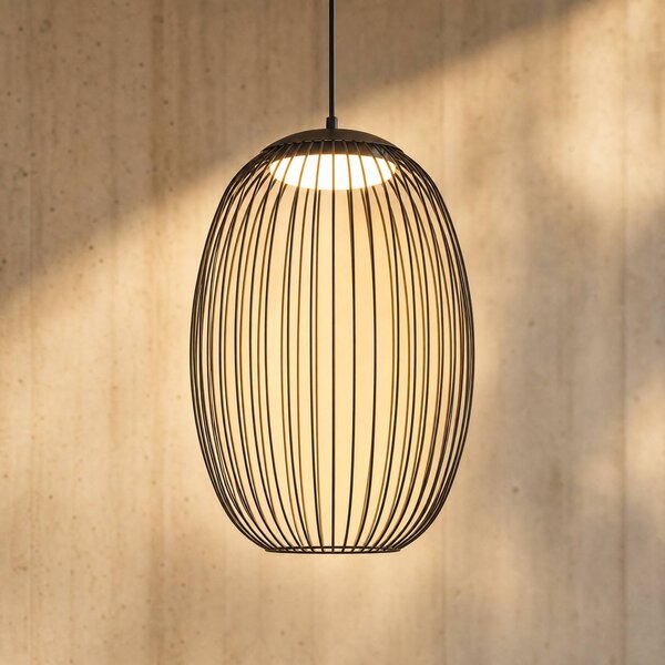 Lampada a sospensione da esterno LED Lucande Richi, nera, 40 cm, dimmerabile Richi Lucande,, Nero, Metallo, Moderno