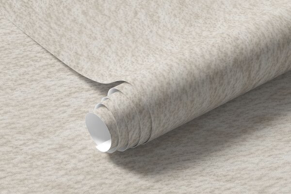 Carta da parati Sfondo beige chiaro in stile intonaco decorativo, minimalista, con effetto pietra, Carta da parati Buffer, w09800 : Uwalls.it
