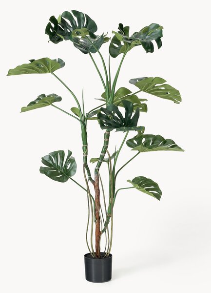 Pianta artificiale Monstera
