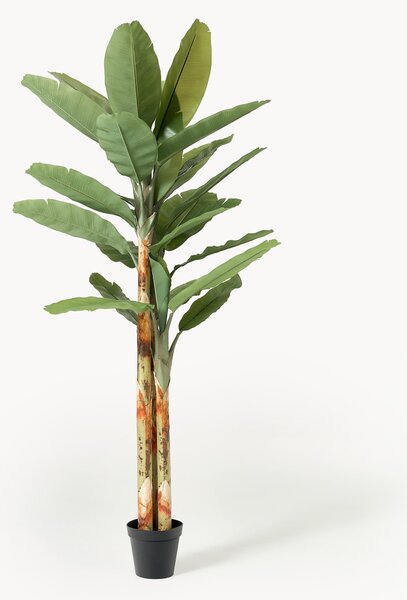 Pianta artificiale Banana Tree