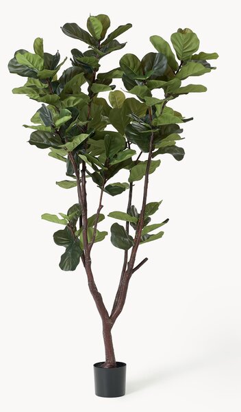 Pianta artificiale Fiddle Leaf Fig