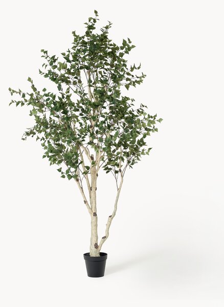 Pianta artificiale Birch Tree Green