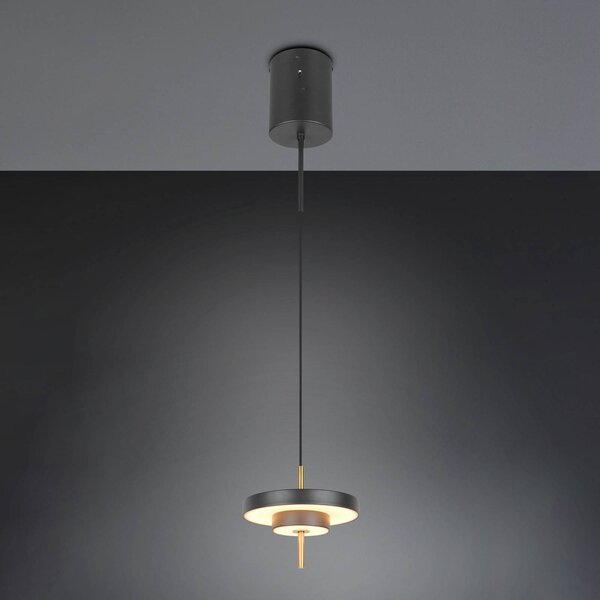 Trio Lighting Lampada LED a sospensione Keaton nera/dorata, Ø 20 cm Metallo CCT Keaton, dimmerabile, Nero, Soggiorno / Sala da pranzo, Metallo