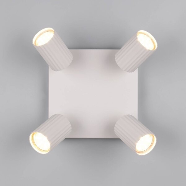 Trio Lighting Faretto da soffitto Soka, grigio chiaro, lunghezza 20 cm, metallo, a 4 luci. dimmerabile, Alluminio / Grigio / Zincato, Soggiorno / Sala da pranzo, Metallo, Moderno, Faretto alogeno