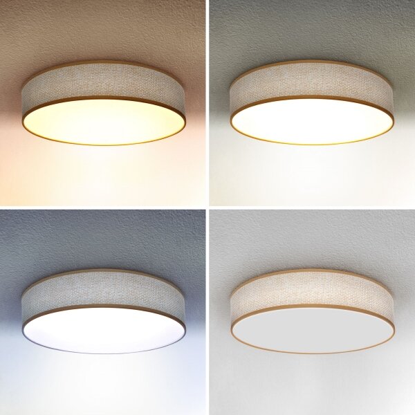 Brilagi - Lampada da soffitto dimmerabile CARMEN LED/48W/230V 3000-6500K + DO