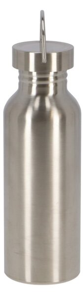 Bottiglia in acciaio inox color argento 650 ml - Esschert Design