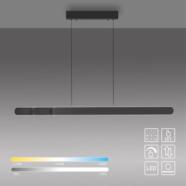 Schöner Wohnen 12577-18 - Lampadario LED dimmerabile su cavo ADRIANA 2xLED/24W/230V nero