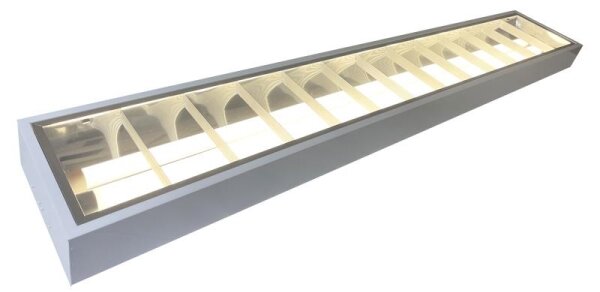 Lampada fluorescente T8 2xG13/18W/230V 120 cm bianco