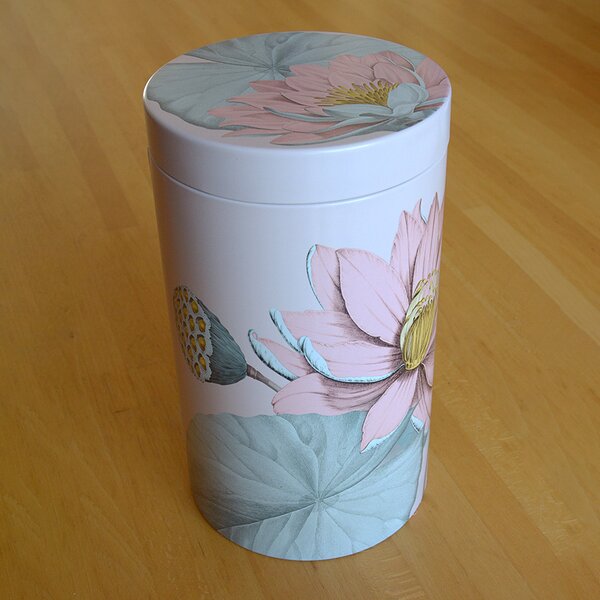 Contenitore Padma 500 ml - Colori Assortiti
