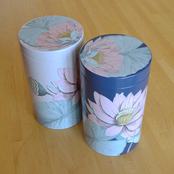 Contenitore Padma 500 ml - Colori Assortiti
