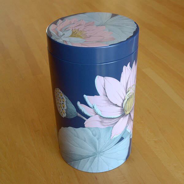 Contenitore Padma 500 ml - Colori Assortiti