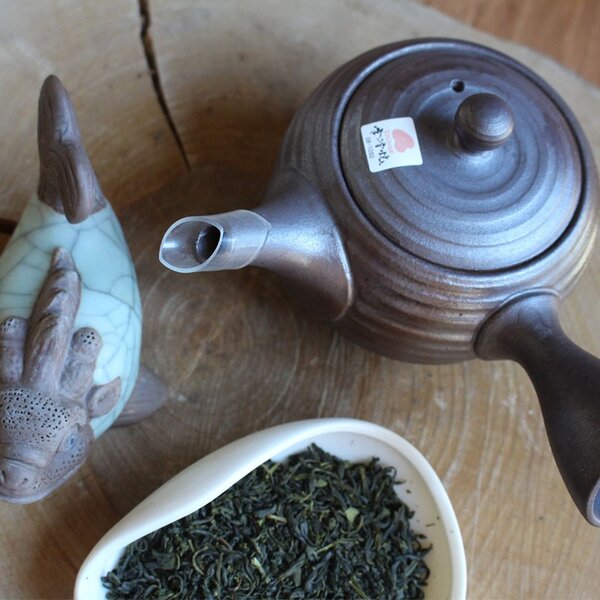 Kyusu giapponese Tokoname in ceramica marrone scuro 270 ml
