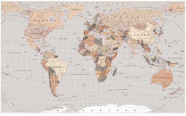 Carta da parati Una mappa politica del mondo in beige con bandiere in polacco, Carta da parati Mappa del Mondo, c00016plv1 : Uwalls.it