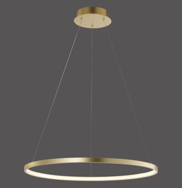 Leuchten Direkt 11524-12 - Lampadario LED a sospensione CIRCLE LED/28,5W/230V