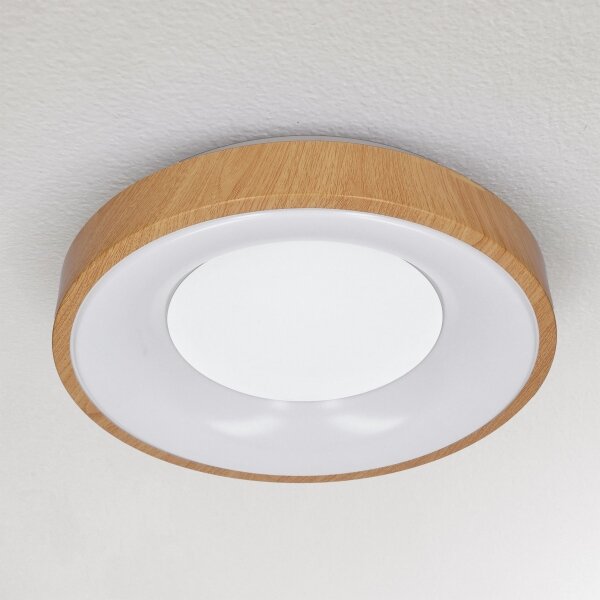 Brilagi - Lampada LED da soffitto dimmerabile DORIA LED/48W/230V 3000-6500K + DO
