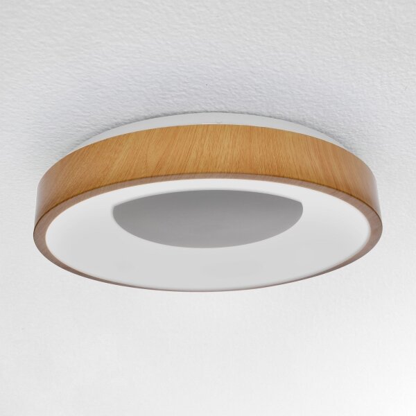 Brilagi - Lampada LED da soffitto dimmerabile DORIA LED/48W/230V 3000-6500K + DO