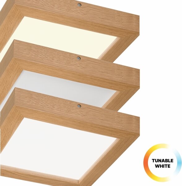 Brilagi-Luce LED dimmerabile WOODY FRAME LED/24W/230V quercia 30x30 cm IP44 + +TC