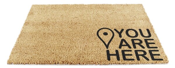 Zerbino in cocco 40x60 cm You Are Here - Artsy Doormats