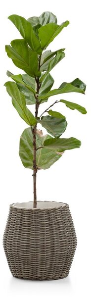 Coprivaso artificiale in rattan ø 35 cm Fiore - Bonami Essentials