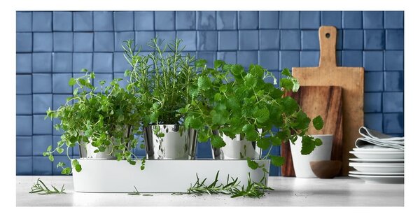 Set di 3 vasi in metallo per erbe aromatiche/auto-irrigazione ø 11 cm - WMF