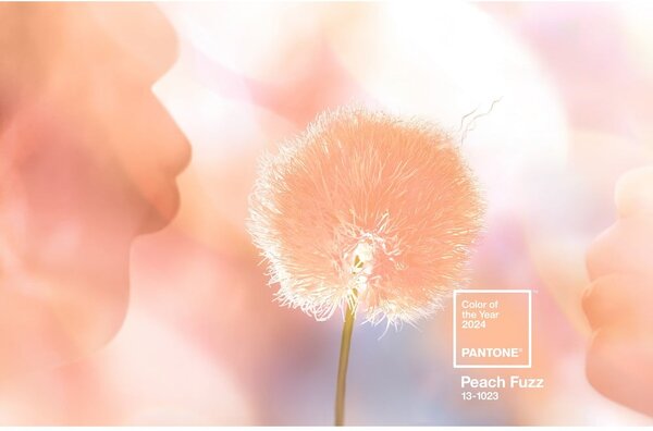 Tazza da espresso in ceramica arancione 120 ml Peach Fuzz 13-1023 - Pantone