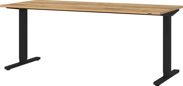 Tavolo da lavoro ad altezza regolabile elettricamente con piano in rovere 80x180 cm Lissabon - Germania