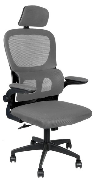 Sedia da ufficio, design ergonomico, funzioni regolabili, GRIGIO