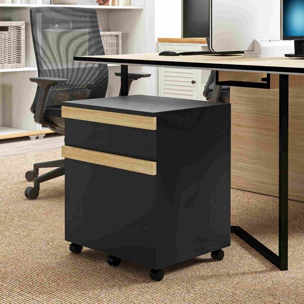 Vinsetto Caisson da ufficio con ruote con 2 cassetti scorrevoli porta documenti 48 x 40 x 59,5 cm nero | Aosom Italy