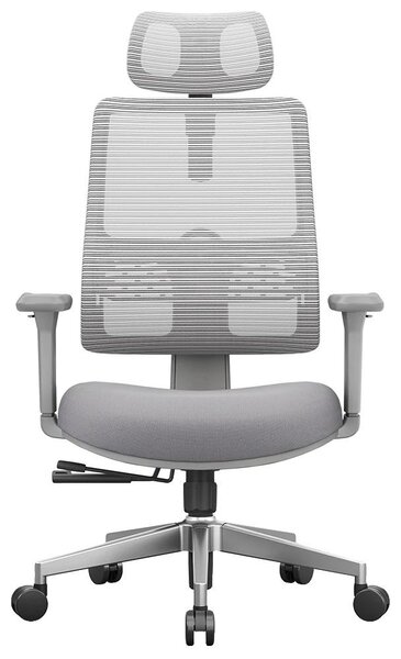 Sedia da ufficio, design ergonomico, supporto lombare adattivo, grigio
