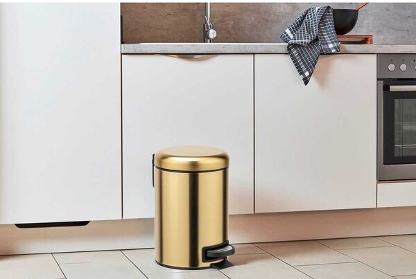 Bidone a pedale in acciaio inox oro 3 l Leman - Wenko