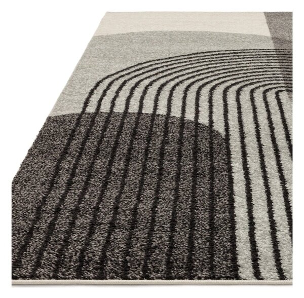 Tappeto grigio 230x160 cm Muse - Asiatic Carpets