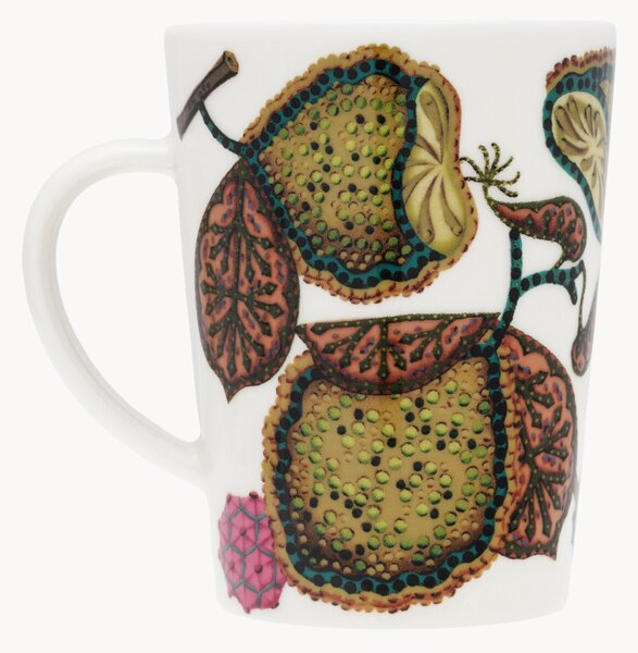 Tazza Taika