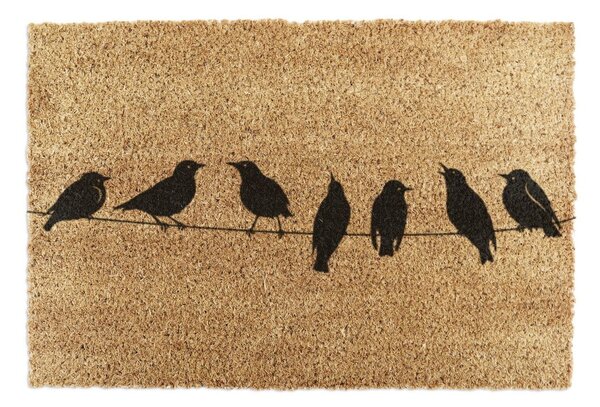 Zerbino in fibre di cocco 40x60 cm Birds On a Wire – Artsy Doormats