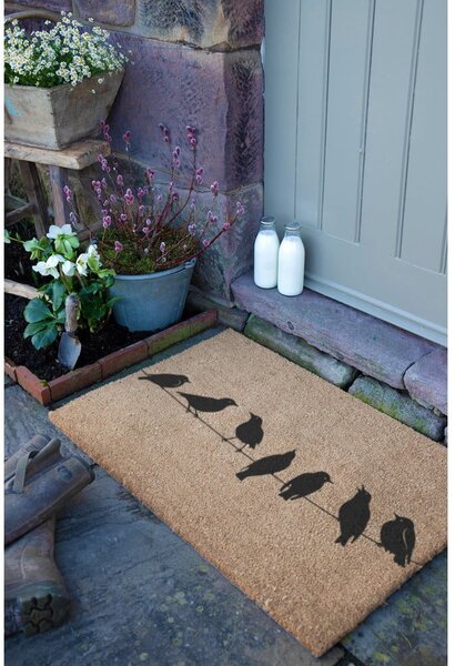 Zerbino in fibre di cocco 40x60 cm Birds On a Wire – Artsy Doormats