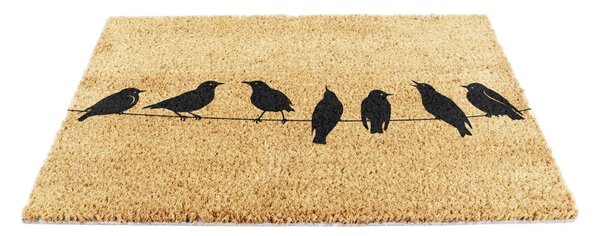Zerbino in fibre di cocco 40x60 cm Birds On a Wire – Artsy Doormats