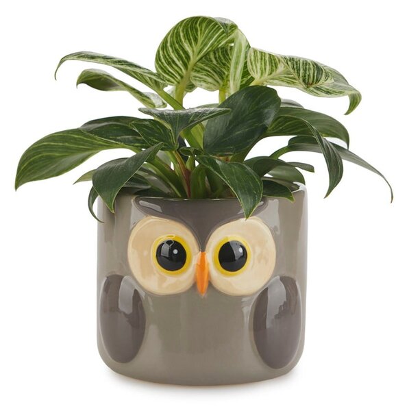 Vaso in ceramica ø 13,5 cm Owl - Balvi