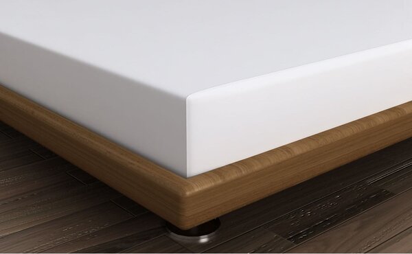 Lenzuolo bianco in cotone elasticizzato 160x200 cm - Mijolnir