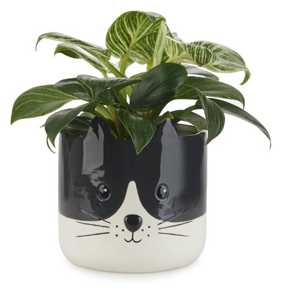 Vaso in ceramica ø 13,5 cm Kitty - Balvi