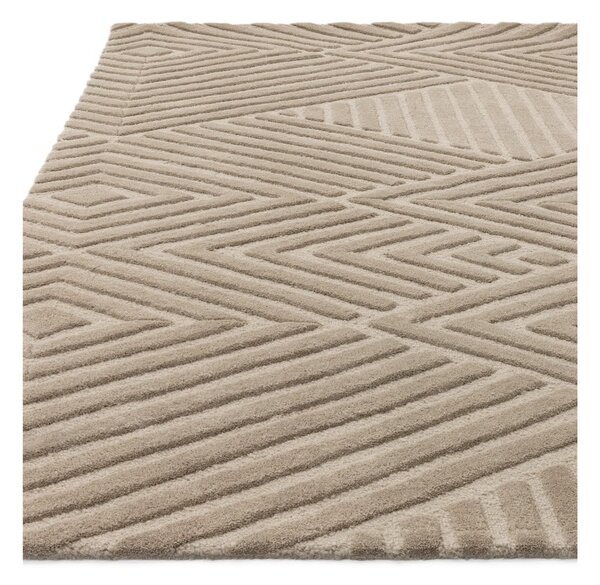 Tappeto in lana marrone chiaro 120x170 cm Hague - Asiatic Carpets