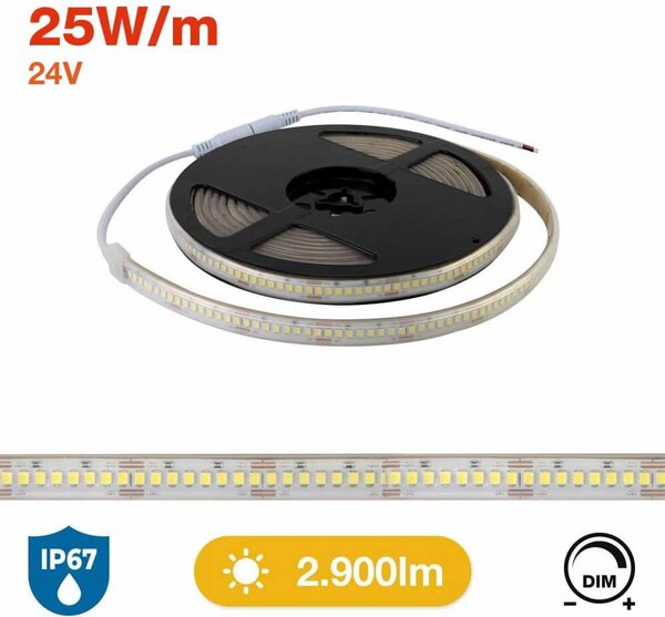 Striscia LED Professional 2835/224 - IP67 - 25W/m - 2.900lm/m- 5m - 24V Colore Bianco Freddo 6.000K