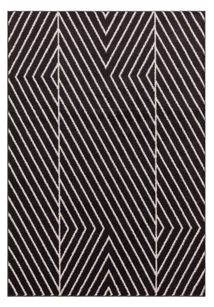Tappeto bianco e nero 120x170 cm Muse - Asiatic Carpets