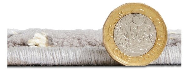 Tappeto grigio 220x160 cm Apollo - Think Rugs