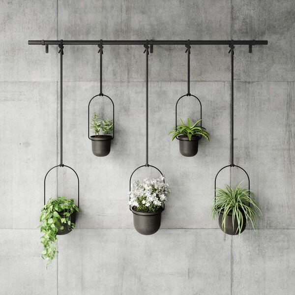 Set di coprivaso in plastica per erbe aromatiche/da appendere/parete 5 pz ø 7,5 cm Triflora – Umbra