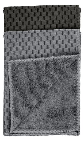 Set di 2 panni in microfibra 40x60 cm Miko - Wenko